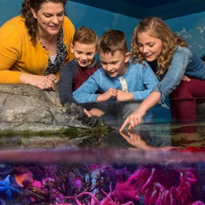 SEA LIFE Aquarium at American Dream: General Admission