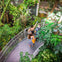Three people walking on a curved metal walkway surrounded by lush greenery and tropical plants.