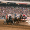 A chuckwagon race in a packed stadium, with competitors driving teams of horses at full speed on a dirt track.