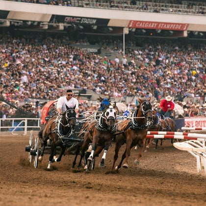 A chuckwagon race in a packed stadium, with competitors driving teams of horses at full speed on a dirt track.