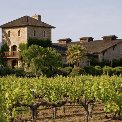 From San Francisco: Napa & Sonoma Valley Full Day Wine Tour