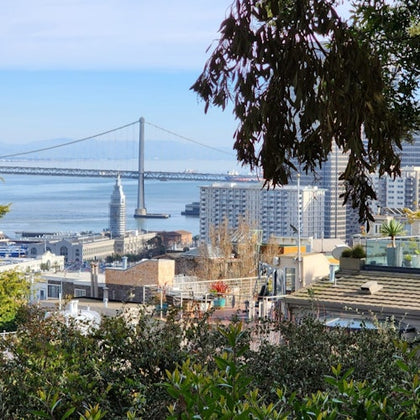 Bay Bridge
