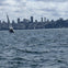Sailing in toward San Francisco
