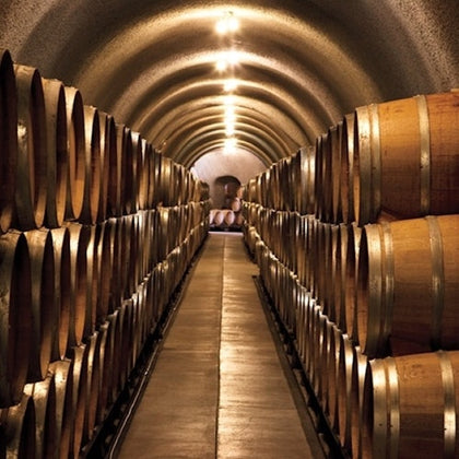 Half Day Wine Tasting from San Francisco