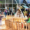 See four super-sized animatronic insects at Bugtopia!