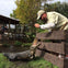 Everglades: 40-Minute Airboat Ride & Animal Sanctuary Admission