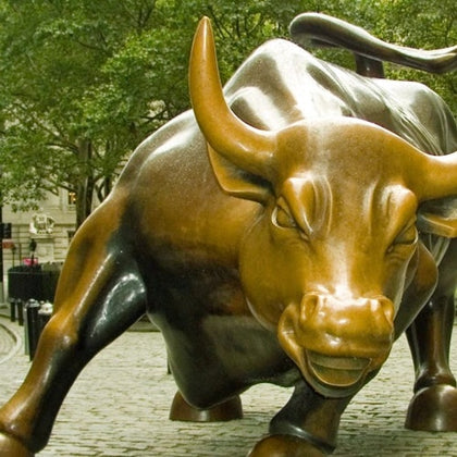 Charging Bull