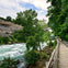 A wooden boardwalk runs alongside a river with rapid waters, surrounded by lush greenery and a rocky cliff in the background.