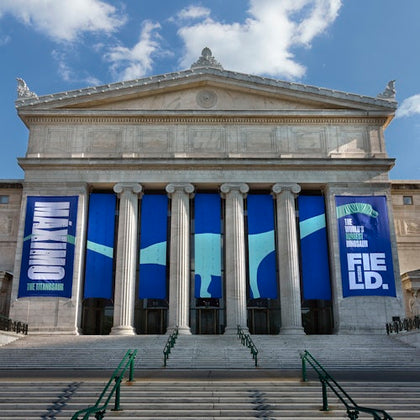 Field Museum 