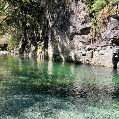 Anyone up for a swim?