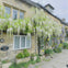 A stone cottage with flowering wisteria vines, a plaque reading 'Providence Cottage,' and a stone-paved walkway.