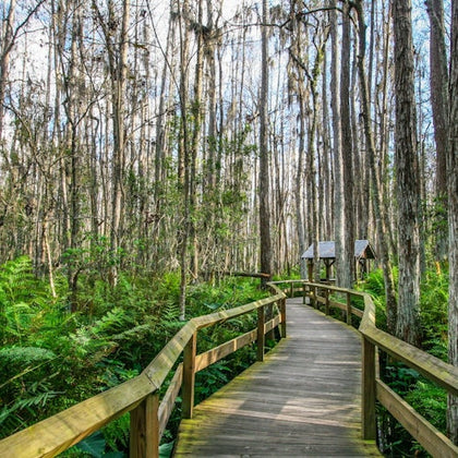 Everglades National Park