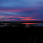 Everglades: Gator Nights 60-Minute Airboat Adventure