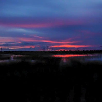 Everglades: Gator Nights 60-Minute Airboat Adventure