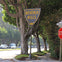 Los Angeles: Guided Open-Air Bus Tour