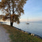Vancouver Waterfront