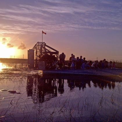 Everglades: Gator Nights 60-Minute Airboat Adventure