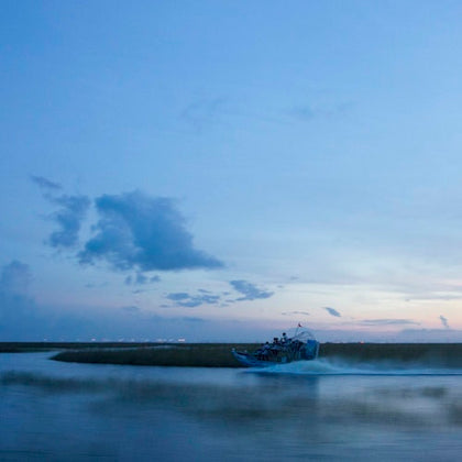 Everglades: Gator Nights 60-Minute Airboat Adventure