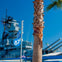 An outdoor scene with a large battleship, palm tree, and signs displaying the number 87 against a clear blue sky.