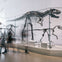 Royal Ontario Museum: General Admission Ticket