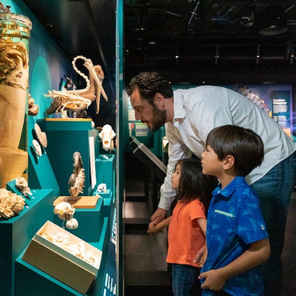 Family viewing specimens in Hidden Wonders exhibit.