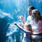 Family looking at fish at Chicago's Shedd Aquarium 