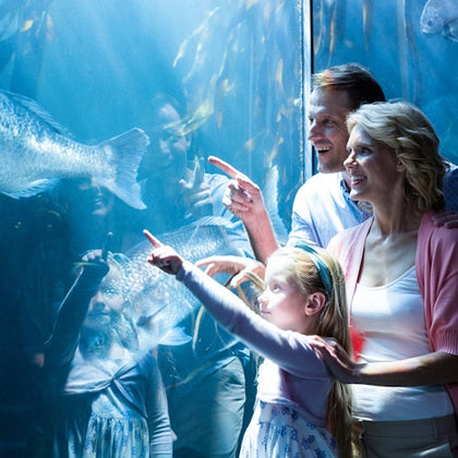 Family looking at fish at Chicago's Shedd Aquarium 