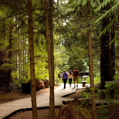 Vancouver: Capilano Suspension Bridge Park & City Tour