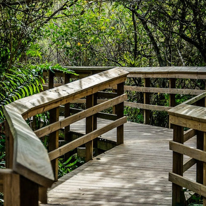 Nature Trails 