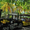Conch Train in Downtown Key West