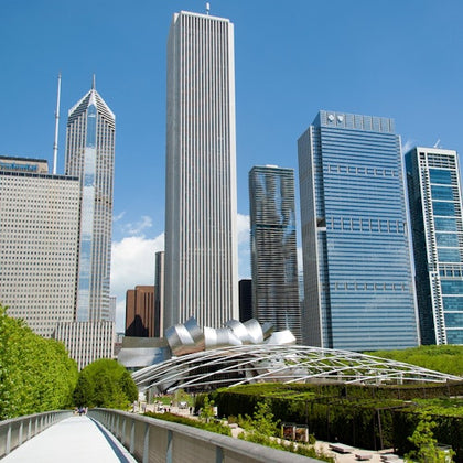 Downtown Chicago: Architecture Highlights Guided Tour