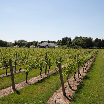 Long Island Winery