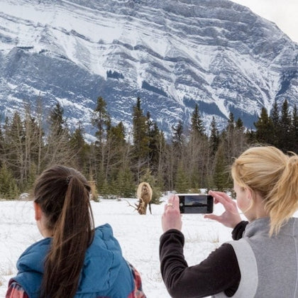 Discover Banff Tours