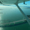 Bay Bridge