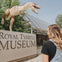 A person looks at a dinosaur statue atop a sign reading 'Royal Tyrrell Museum' with solar panels and trees in the background.
