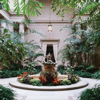 National Gallery of Art: Guided Tour