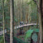 Blue Mountains Scenic World