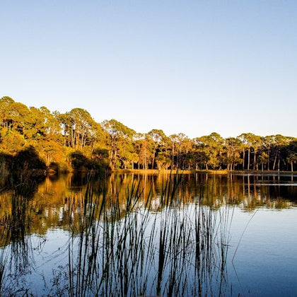 Big Cypress