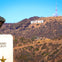 The Getty Center to Griffith Observatory Guided Tour