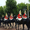 Horse Guard