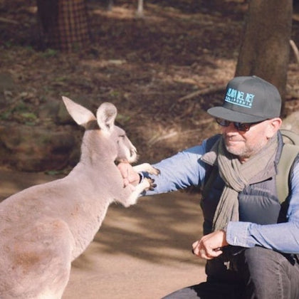 animal experience