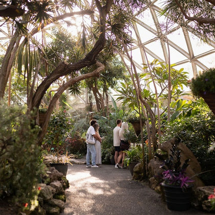Bloedel Conservatory