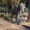 A person poses near life-sized elephant statues in an outdoor setting with palm trees and a fence in the background.