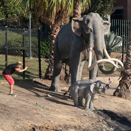A person poses near life-sized elephant statues in an outdoor setting with palm trees and a fence in the background.