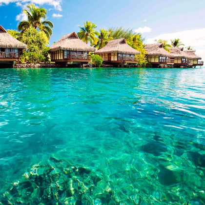 Thatched overwater bungalows sit on a clear turquoise lagoon surrounded by lush tropical palm trees under a bright blue sky.