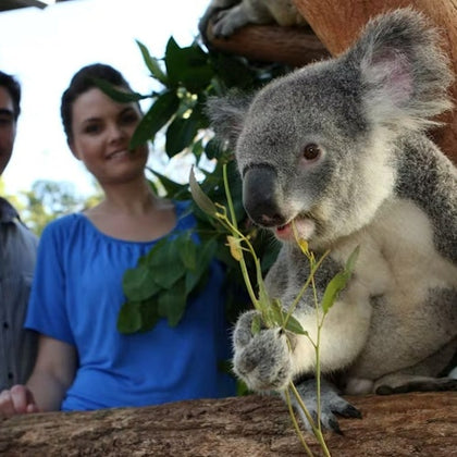 Taronga Zoo