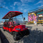 Wynwood Walls: General Admission + Neighborhood Buggy Experience
