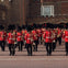 London's Palaces, Parliament, and Harry Potter Walking Tour