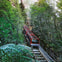 One of the thrilling rides at Scenic World