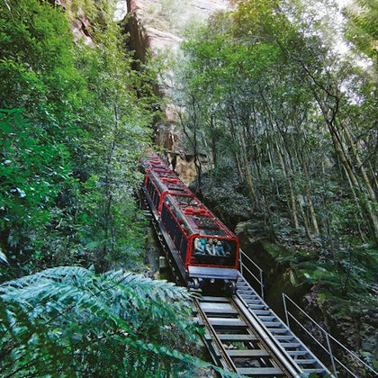 One of the thrilling rides at Scenic World